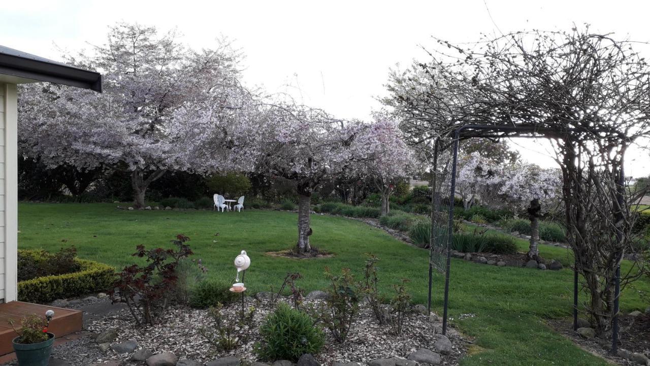 Kaimai Sunset Bed & Breakfast 玛塔玛塔 外观 照片
